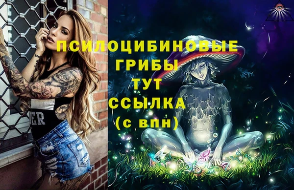 a pvp Баксан