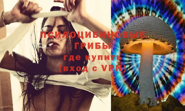 бошки Балахна