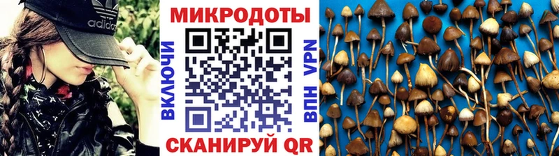 гидра вход  купить закладку  Вольск  Галлюциногенные грибы прущие грибы 